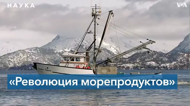 12 лучших мест для морепродуктов в Виргинии, США