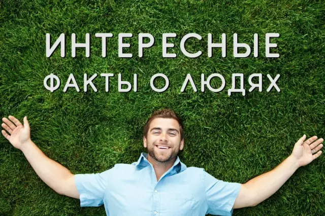 15 интересных фактов об искусстве basel miami