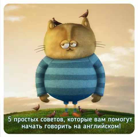 17 выражений, которые помогут вам говорить, как сан-францисканец
