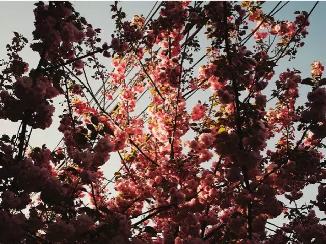 От войны до знаменитостей: фотограф Кристофер Андерсон