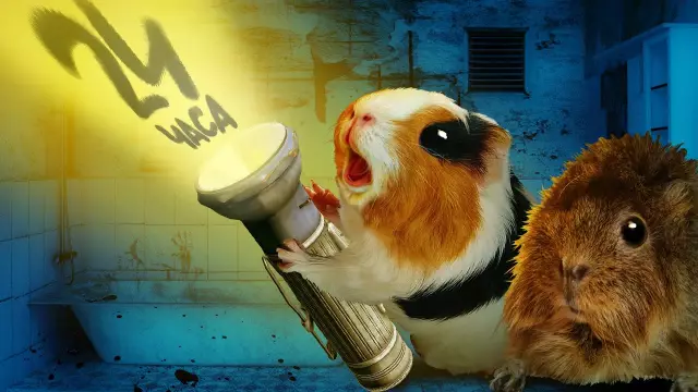 Как провести 24 часа в майами