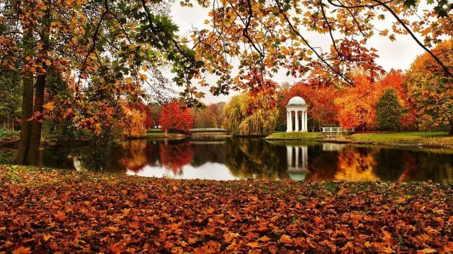 Самые красивые парки и сады в Джексонвилле, Флорида