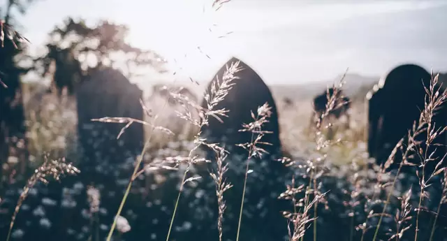 Грех не более: las vegas получает искусство и культуру подтяжки лица