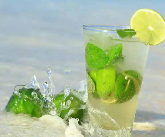 Присоединяйтесь к нам на мастер-класс по приготовлению коктейлей с ботаником