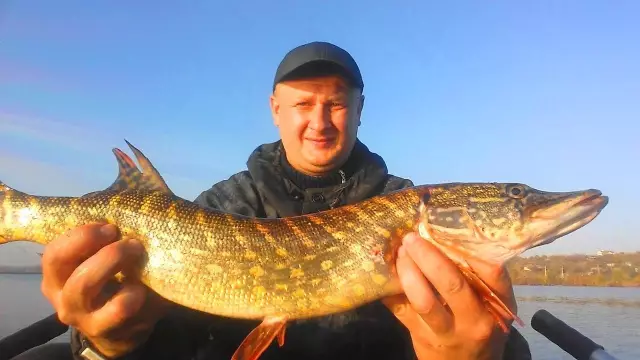 16 занятий в ноябре
