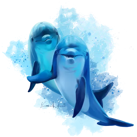 Животные близко: руководство по этическому туризму дельфинов