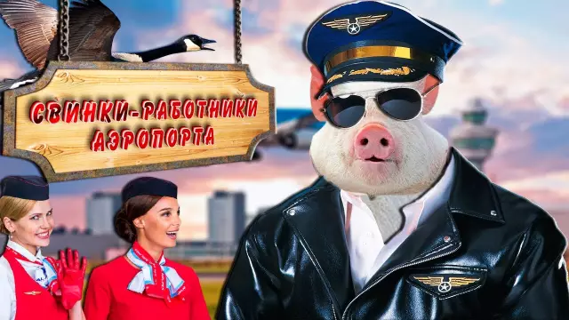 Путеводитель по аэропорту Нидерландов