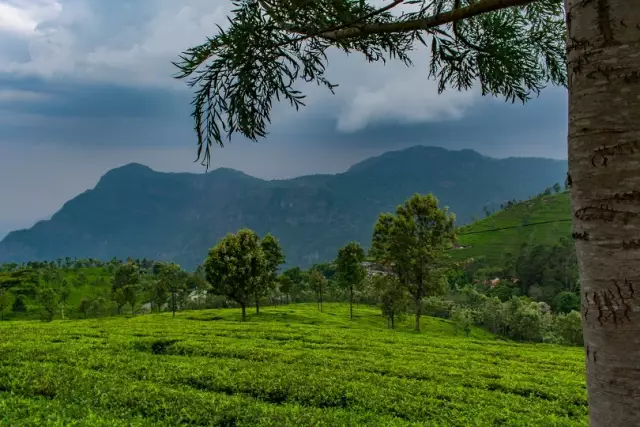 10 лучших курортов Coonoor для мечтательного пребывания в Нилгирисе