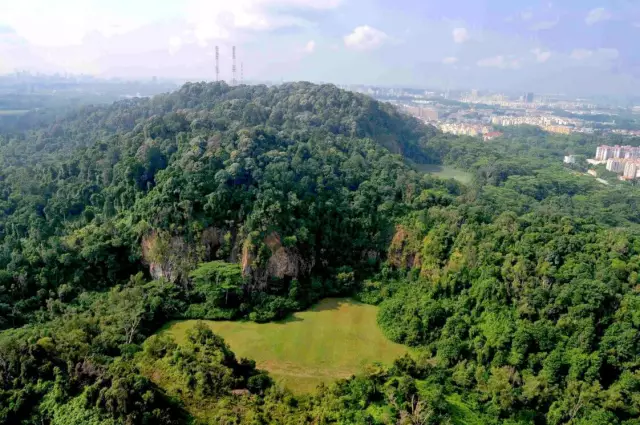 3 лучших ресторана рядом с Bukit Timah, Сингапур, которые любимы местными жителями