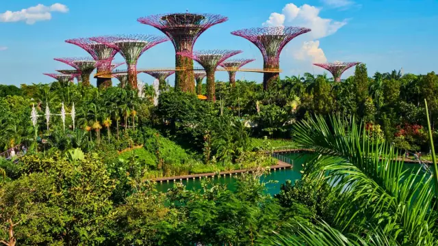 3 места для посещения недалеко от Нортленда при изучении городов Сингапура