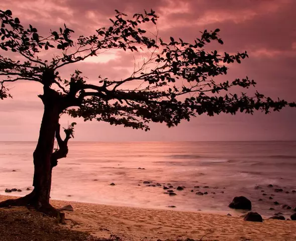 10 лучших отелей в Манали для медового месяца