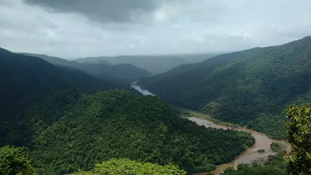 10 курортов Dandeli для этого мечтательного отдыха среди леса