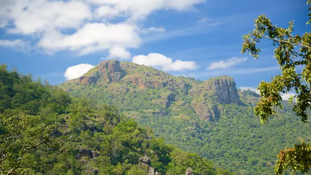 10 советов Ooty Travel, которые помогут вам познакомиться с городом больше как местный, а не как турист
