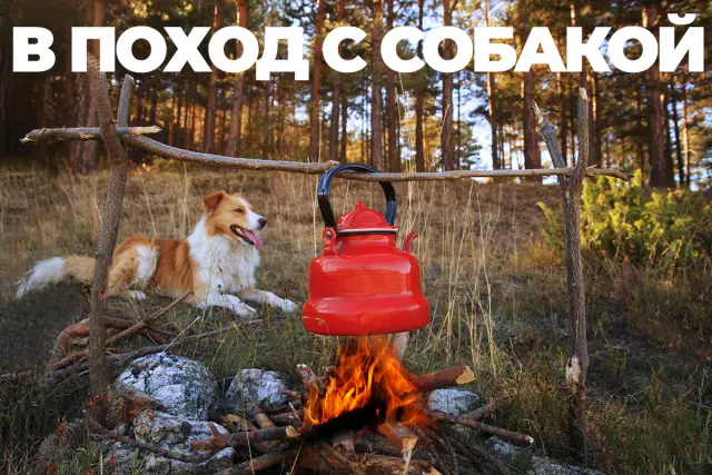 Поход по сухопутному треку: идеальное руководство для путешественников по поиску лучших троп Австралии Поход по сухопутному треку: идеальное руководство для путешественников по поиску лучших троп Австралии