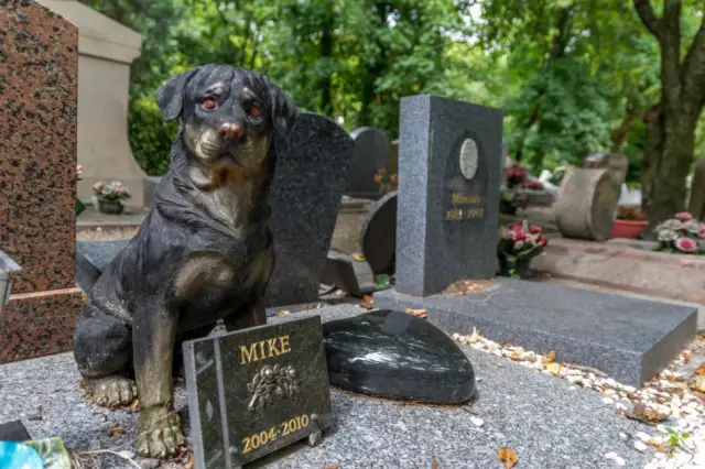Cimetière des Chiens – не только для собак