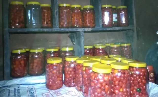 Фермерские тако с маринованными овощами и козьим сыром & Микрозелень