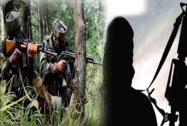 Новый год в Южном полушарии