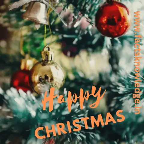 Лучшие гастрономические туры по всему миру