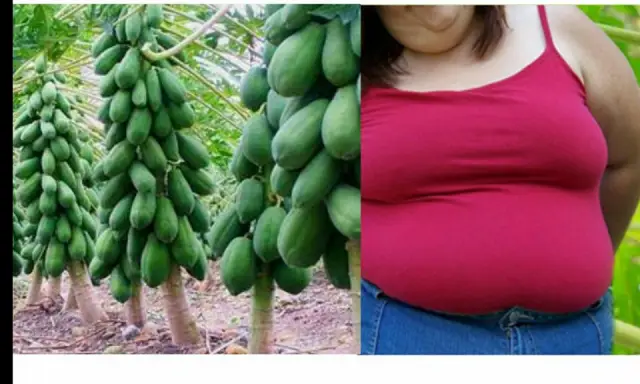 Лучшее в Папеэте