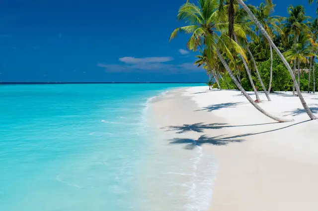 10 причин отправиться в однодневную поездку на Невис