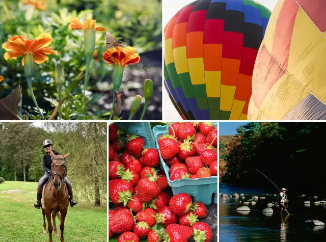 Чем заняться в Йосемити