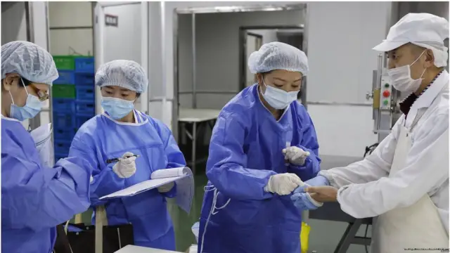 Путеводитель по Брансуикским островам для новичков