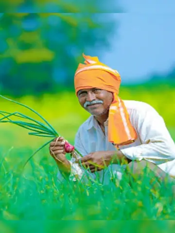 12 лучших музеев Финикса, чтобы взглянуть на город совершенно по-новому