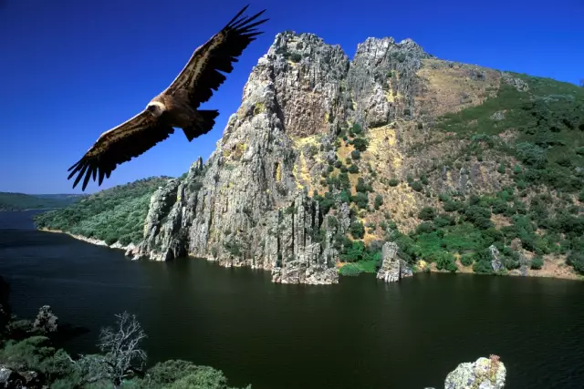 Гостиница Монфрагуэ в Эстремадуре