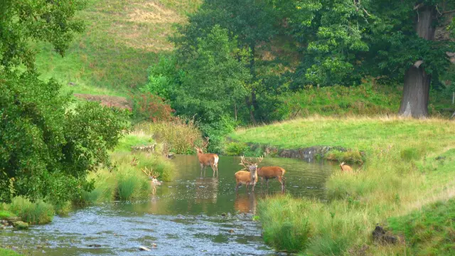 Выиграйте бесплатную поездку в Йоркшир