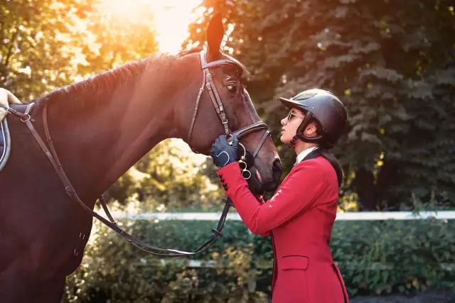 Найдите лучшие манежи для верховой езды в мире