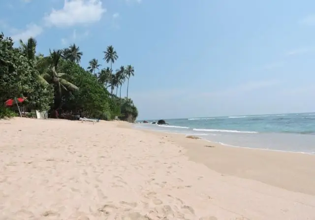 Актуальная информация о поездках в Шри-Ланку