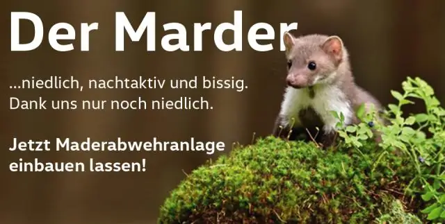 Платная онлайн мультимедийная практика