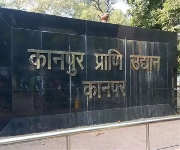 5 сафари, которые помогают спасти дикую природу