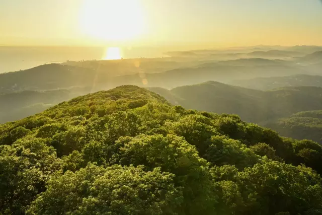 Ресторан Kitsho и сакэ-бар готовятся к курортному сезону