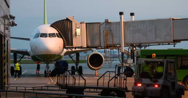 COVID-19: DOT8 Спрингс застряли туристы, общее количество путешественников, которым оказывается помощь, сейчас составляет 11 000