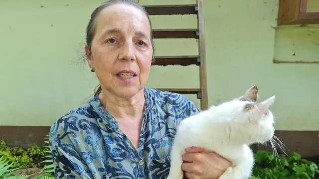 Что случилось с Урсулой в фильме «Жена смотрителя зоопарка»?