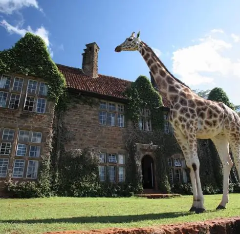 Сколько стоит Giraffe Manor за ночь?
