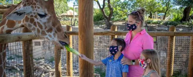 Можете ли вы принести еду в зоопарк Сан-Антонио?