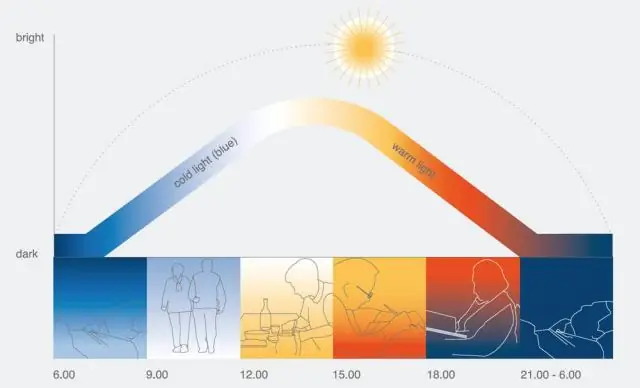 Нужны ли липам прямой солнечный свет?