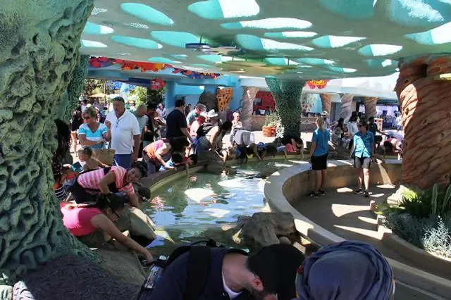 Сколько стоит SeaWorld в Сан-Антонио?