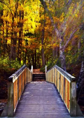 Где лучшие осенние цвета в Висконсине?