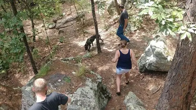 Разрешены ли собаки в Пещере разбойников?