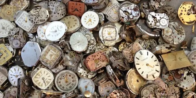 Сколько можно заработать на продаже черники?