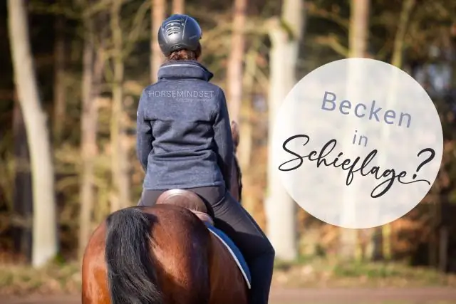 Ты умеешь стрелять в цаплю?