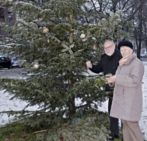 На какой день ставить елку?