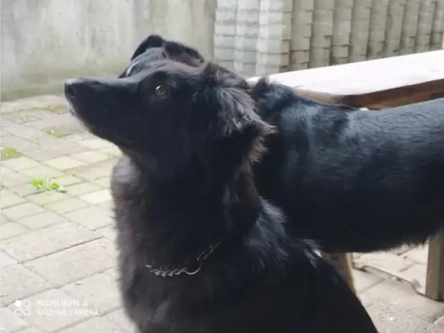 Какого чудесного ждет Нора?