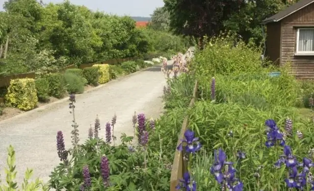 Как устроены садовые наделы?