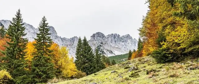 Откуда Olive Garden получил свое название?