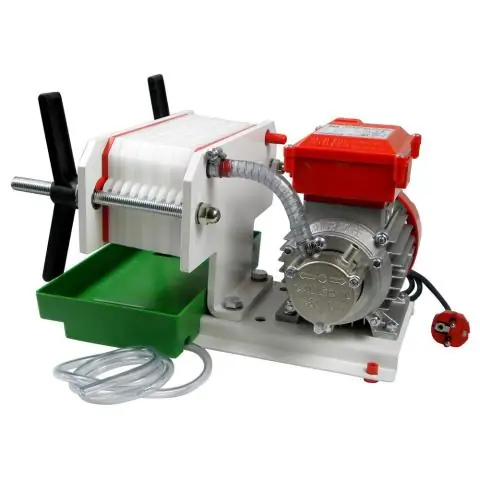 У кольчатых червей фильтруют корм?