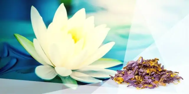 Для чего используется Голубой лотос?